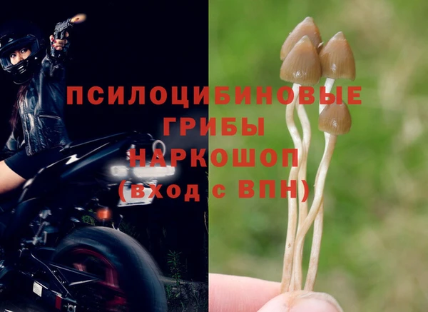 дурь Нефтекумск