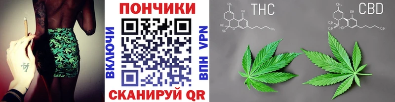Шишки марихуана SATIVA & INDICA  цены   Елизаветинская 